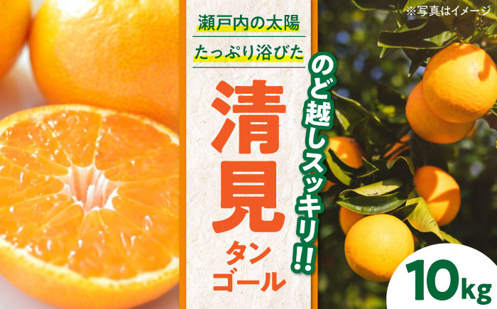 みかん 清見 みかん オレンジ フルーツ ミカン 果物 かき氷 みかんジュース 愛媛みかん こたつ スムージー デザート おやつ