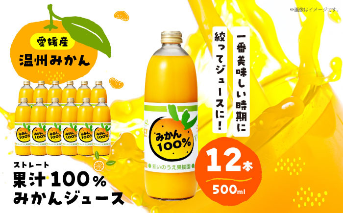 うんしゅうみかんジュース（ストレート）500ml×12本