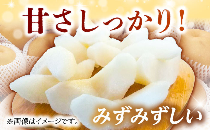 梨 なし ナシ 食べ比べ 5kg