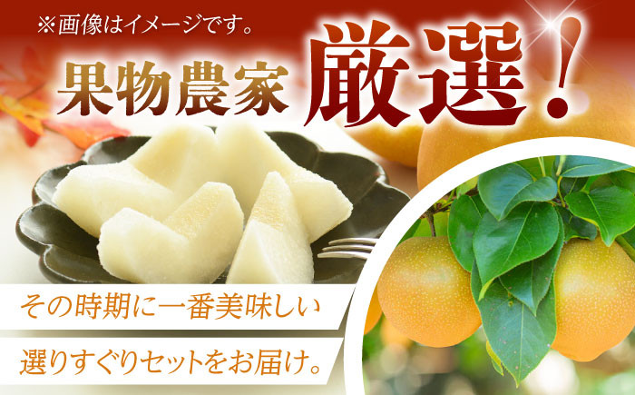 梨 なし ナシ 食べ比べ 5kg