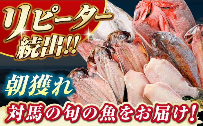 いか さば 鯖 食べ比べ おつまみ 天日干し 冷凍 干物 ひもの 魚 おかず 鮮魚 肉厚 新鮮 直送 旬 海鮮 海の幸 海産物