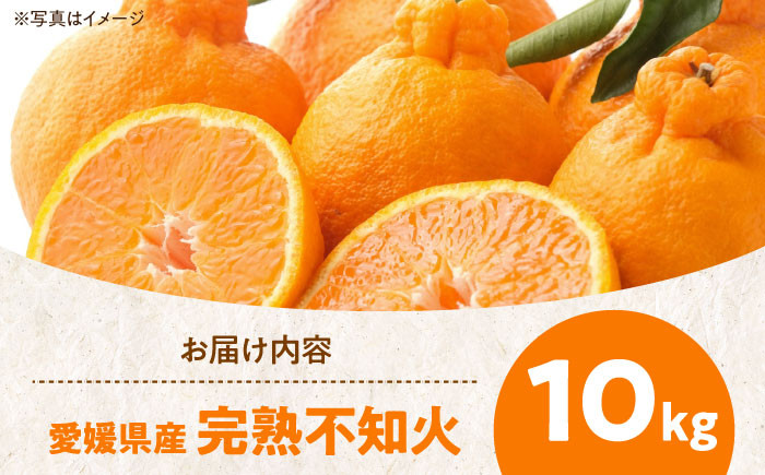 みかん オレンジ フルーツ ミカン 果物 かき氷 みかんジュース 愛媛みかん こたつ みきゃん スムージー デザート おやつ 