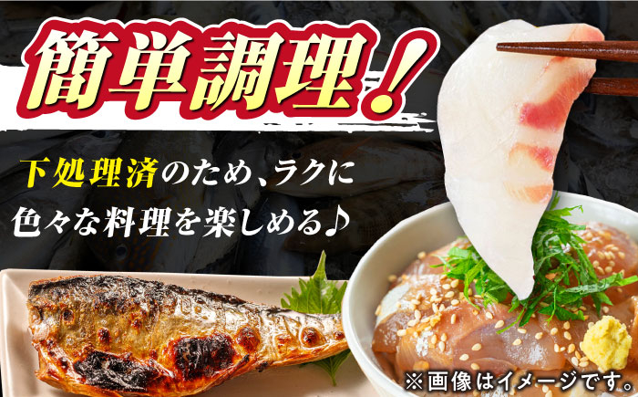 海鮮 旬 活〆 活締め 厳選 刺身 刺し身 魚介 海鮮丼 寿司 煮付け 焼き魚 イカ サバ 魚 さしみ 鮮魚 魚介類 海の幸