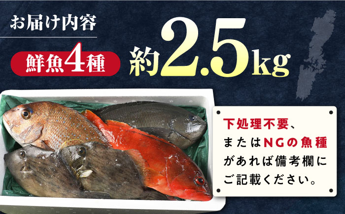 海鮮 旬 活〆 活締め 厳選 刺身 刺し身 魚介 海鮮丼 寿司 煮付け 焼き魚 イカ サバ 魚 さしみ 鮮魚 魚介類 海の幸 