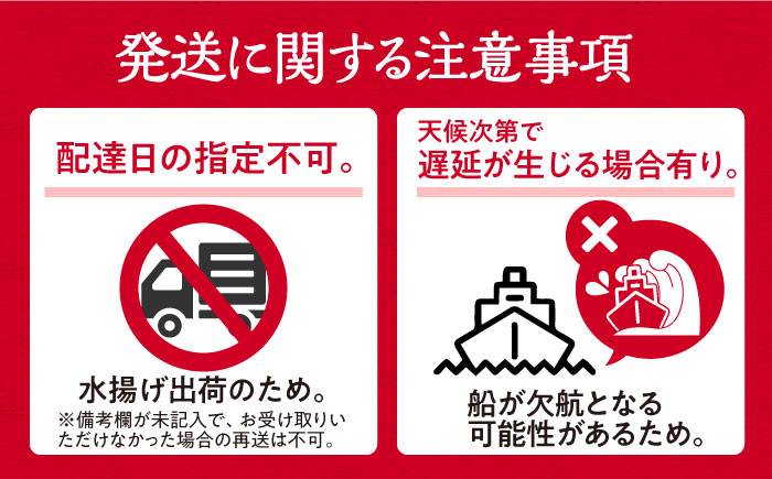 海鮮 旬 活〆 活締め 厳選 刺身 刺し身 魚介 海鮮丼 寿司 煮付け 焼き魚 イカ サバ 魚 さしみ 鮮魚 魚介類 海の幸 
