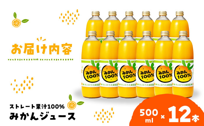 うんしゅうみかんジュース（ストレート）500ml×12本