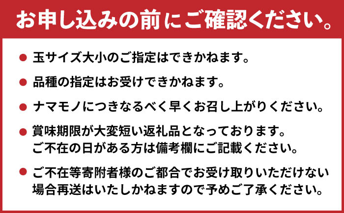 梨 なし ナシ 食べ比べ 5kg