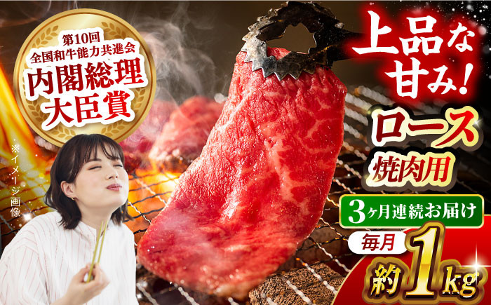 肉 牛 和牛 ロース 焼肉 焼き肉 西海市 長崎 九州 定期便