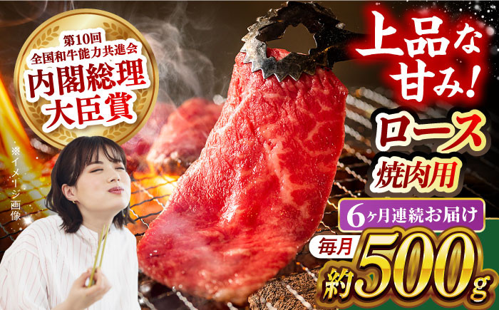 肉 牛 和牛 ロース 焼肉 焼き肉 西海市 長崎 九州 定期便