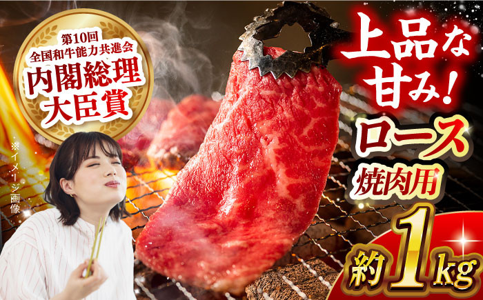 肉 牛 和牛 ロース 焼肉 焼き肉 西海市 長崎 九州 定期便