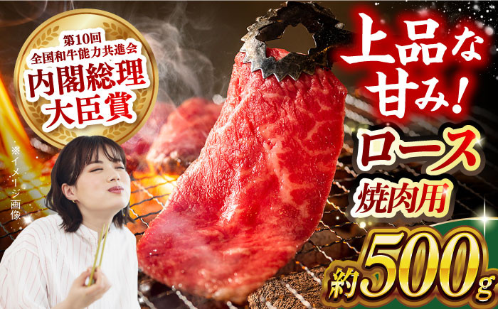 肉 牛 和牛 ロース 焼肉 焼き肉 西海市 長崎 九州 定期便