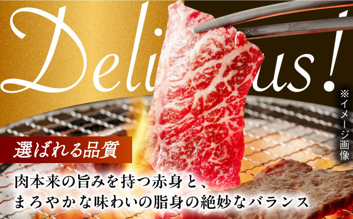 肉 牛 和牛 ロース 焼肉 焼き肉 西海市 長崎 九州 定期便