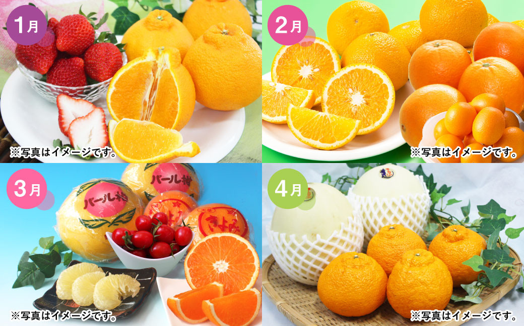 【3か月連続定期便】熊本便り!旬のフルーツ詰め合わせ定期便