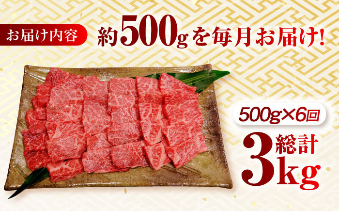 肉 牛 和牛 ロース 焼肉 焼き肉 西海市 長崎 九州 定期便