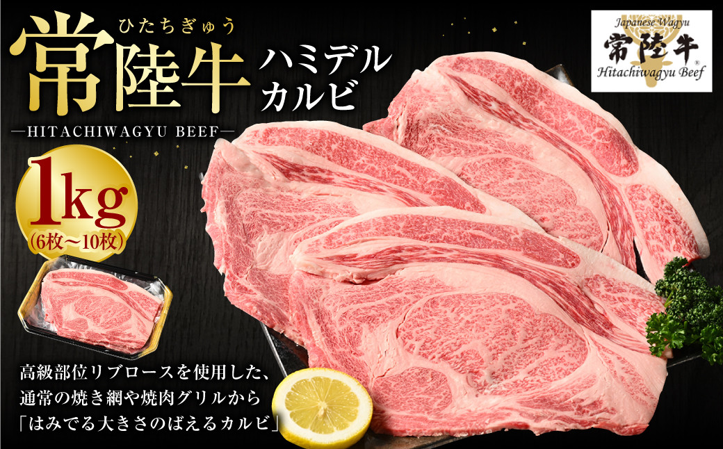 【常陸牛】ハミデルカルビ1kg（6枚～10枚）