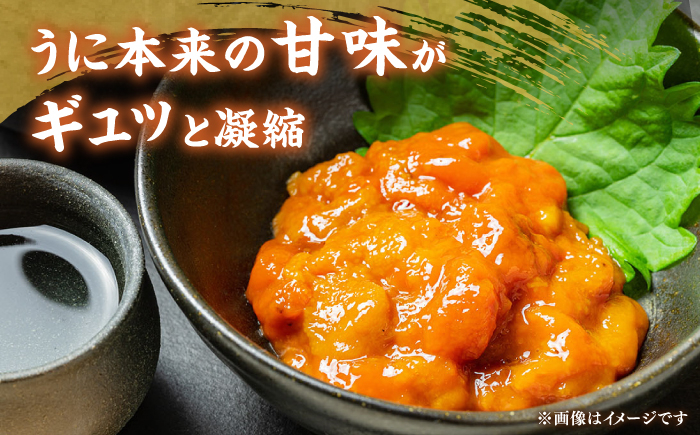 人気   うに ウニ 雲丹  新鮮 海鮮 特産品 贈り物 ギフト   魚介 ごは