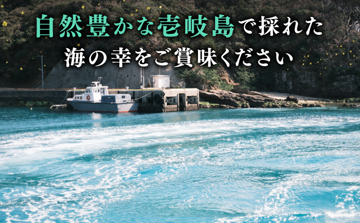 人気   うに ウニ 雲丹  新鮮 海鮮 特産品 贈り物 ギフト   魚介 ごは