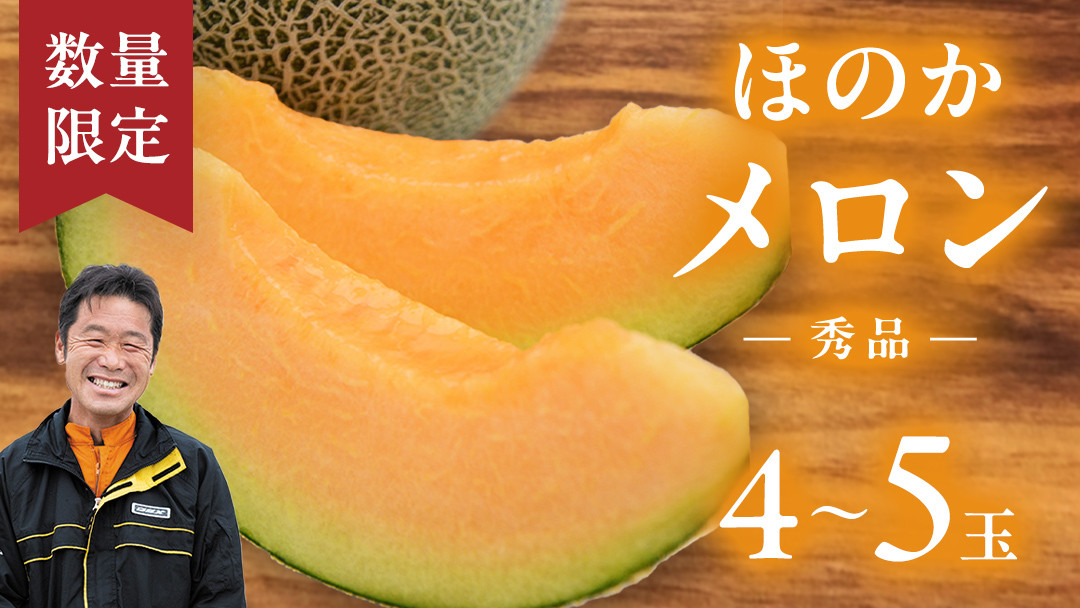 茨城産,ほのかメロン,メロン,予約,贈り物