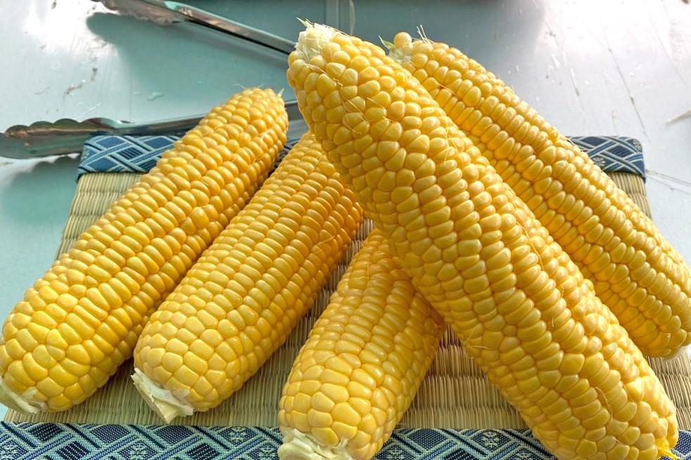 甘み、旨み、食感の良さの3拍子揃った恵味は、今注目の品種です。