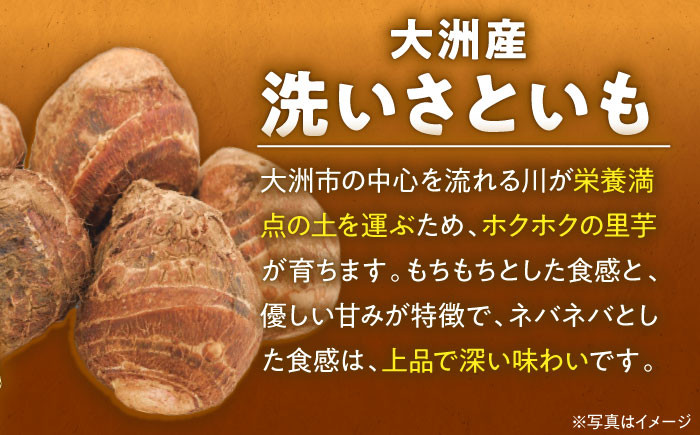 里芋 おうちごはん 和食 朝ごはん 里芋の煮っころがし 里芋の煮物 里芋コロッケ 味噌汁 畑 野菜 新鮮