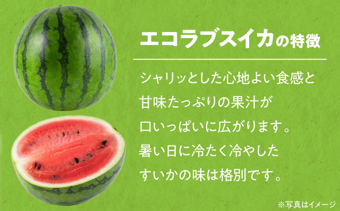 スイカ 夏 すいか 西瓜 かき氷 スイカジュース 甘い フルーツ 果物 フルーツポンチ デザート