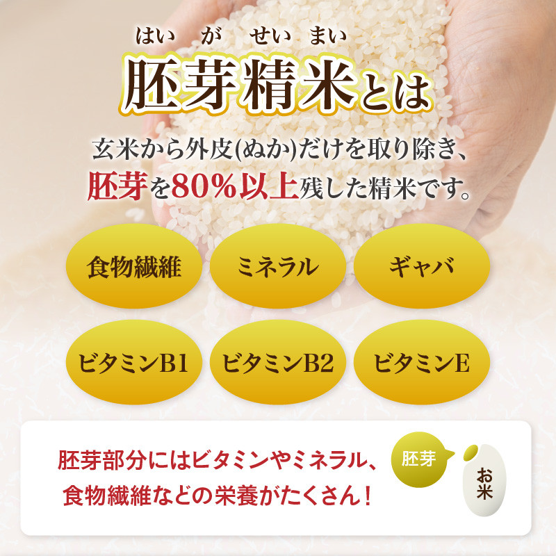 山形県産 無洗米 令和7年産 はえぬき 胚芽精米 10kg(2kg×5袋)【山形県産 BG精米製法】