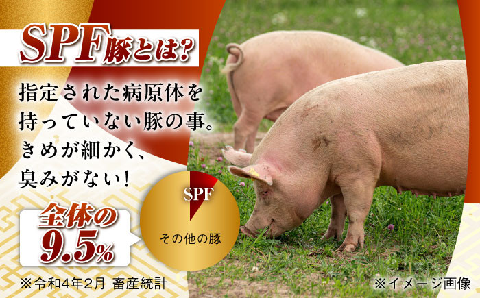 肉 豚 ぶた ブタ 豚肉 小分け 西海市 長崎 九州