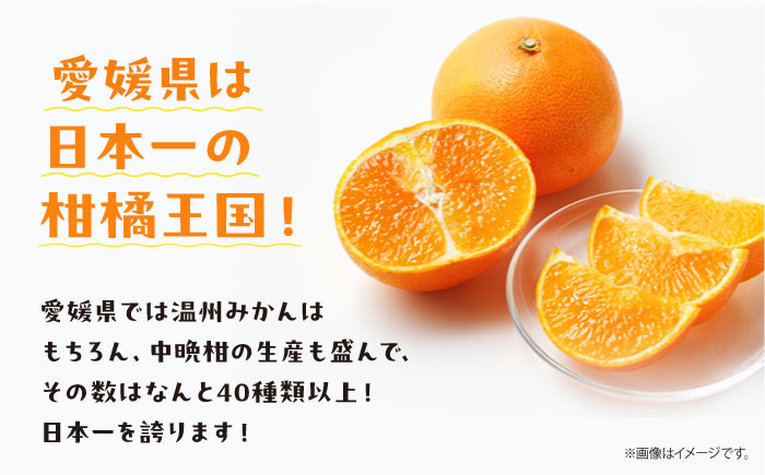 愛媛オリジナル品種、宝石みかん「まどんな」果汁100%ストレートジュース（720ml×2本）