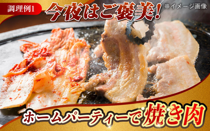 肉 豚 ぶた ブタ 豚肉 小分け 西海市 長崎 九州