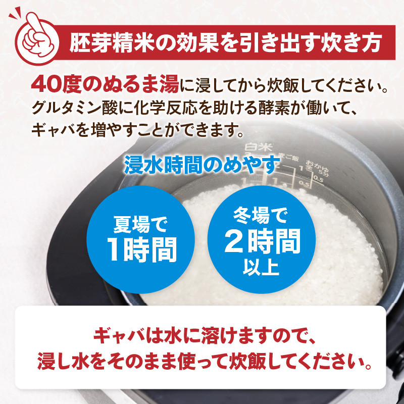 《2ヶ月定期便》山形県産 無洗米 はえぬき 胚芽精米 10kg(2kg×5袋)【山形県産 BG精米製法】