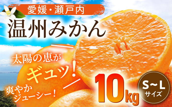 冬の定番!フルーツの代表!温州みかん(S~Lサイズ)10kg