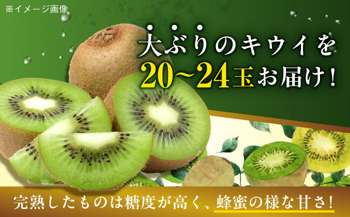 生産量日本一!家族で毎日食べられる!甘熟キウイフルーツ 3L~4Lサイズ(20~24玉入)
