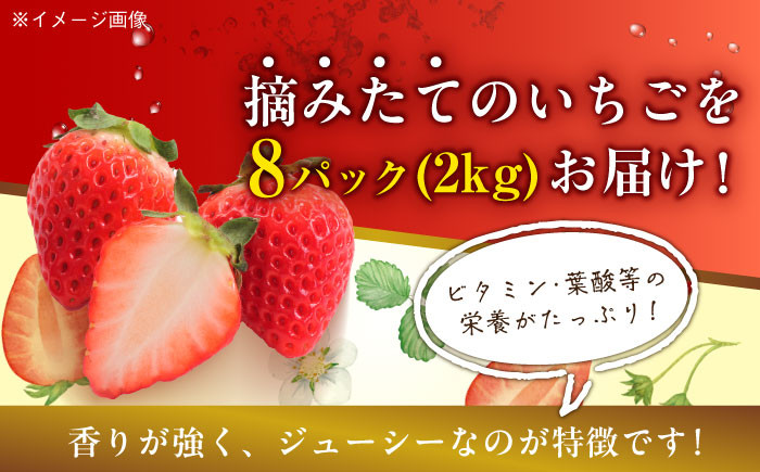 苺 イチゴ いちごパフェ ストロベリー フルーツサンド いちご大福 甘い 果物