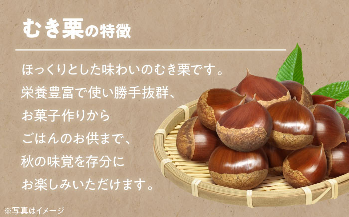 【冷凍】ムキ栗（渋皮付き）800g 