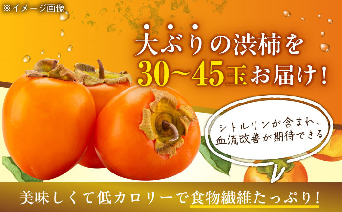 美食品 果物 フルーツ おやつ デザート 柿 カキ かき あたご柿 渋柿 干し柿 ほしがき ドライフルーツ 冷凍 保存 国産