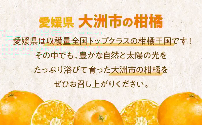 冬の定番!フルーツの代表!温州みかん(S~Lサイズ)10kg