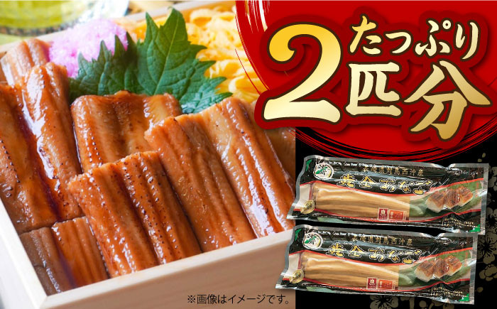 アナゴ 穴子 冷凍 煮穴子 煮あなご レンジ 電子レンジ 魚 海鮮 対馬 おかず 丼物 巻き寿司 卵巻き