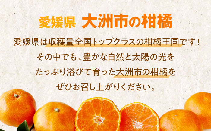 みかん オレンジ フルーツ ミカン 果物 かき氷 みかんジュース 愛媛みかんこたつ みきゃん スムージー デザート おやつ 