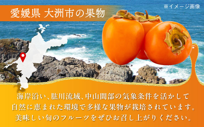 食品 果物 フルーツ おやつ デザート 柿 カキ かき あたご柿 渋柿 干し柿 ほしがき ドライフルーツ 冷凍 保存 国産