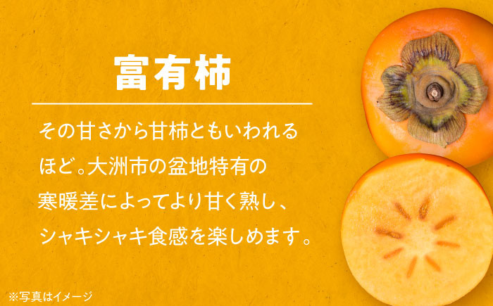 早生みかん3kg・富有柿3kg 詰合せセット