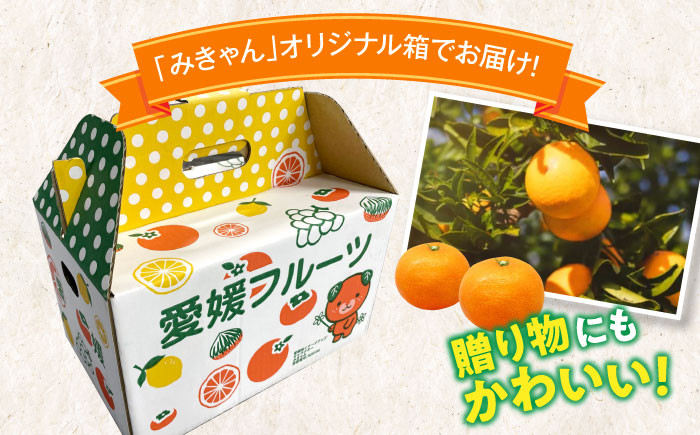 みかん オレンジ フルーツ ミカン 果物 かき氷 みかんジュース 愛媛みかんこたつ みきゃん スムージー デザート おやつ 