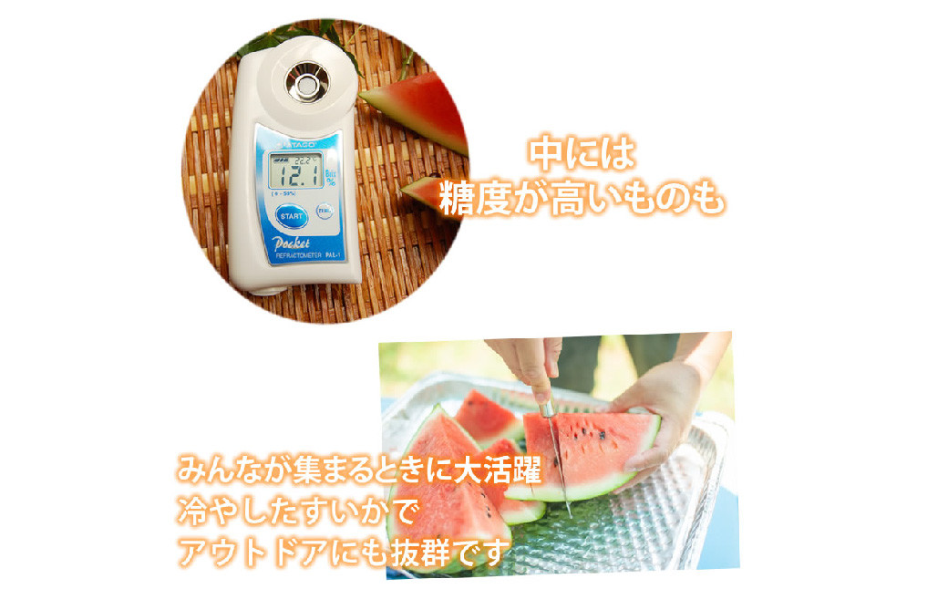 訳あり大玉すいか 1玉
