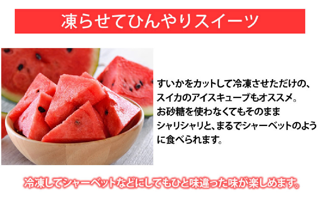 訳あり大玉すいか 1玉