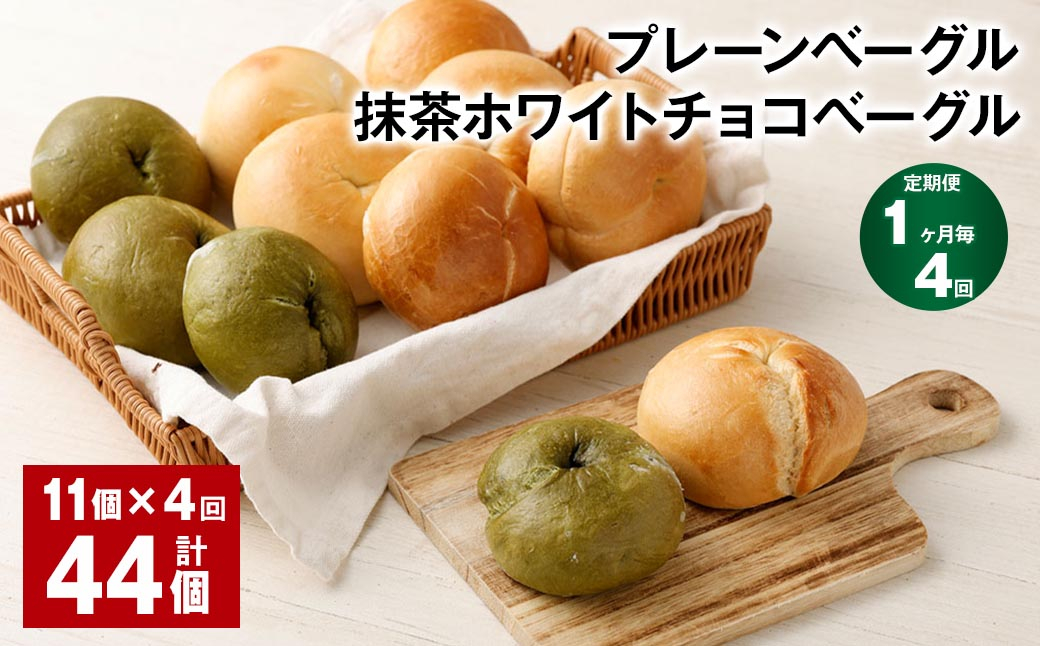【1ヶ月毎4回定期】プレーンベーグル・抹茶ホワイトチョコベーグル 11個 ✕4回 合計44個 ベーグル パン ぱん 2種
