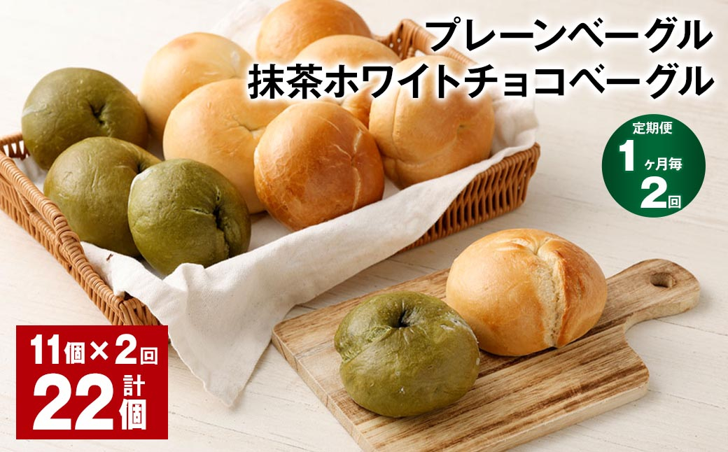 【1ヶ月毎2回定期】プレーンベーグル・抹茶ホワイトチョコベーグル 11個 2回 合計 22個 ベーグル パン ぱん 2種