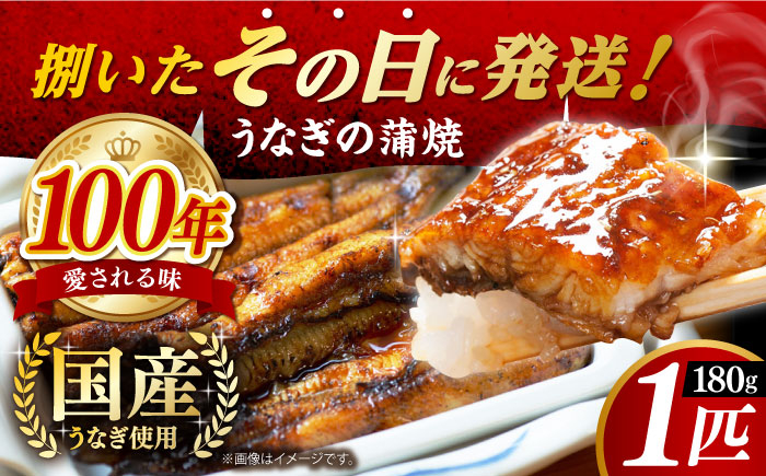 ウナギ うなぎ 鰻 タレ付き 老舗 国内産 国産 土用丑の日 うな重 鰻重 グルメ 西海 長崎 入口屋 長崎県 蒲焼 かば焼き