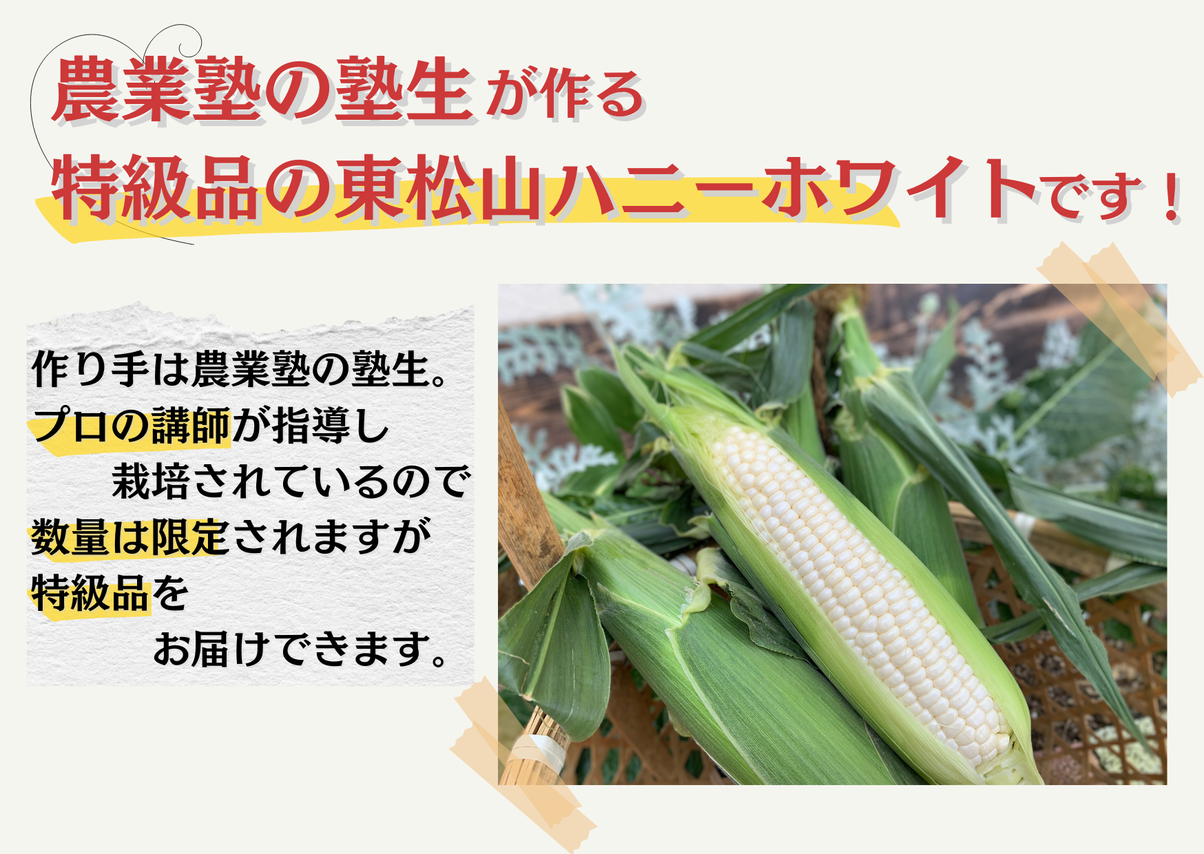 作り手は、農業塾の塾生。プロの指導のもとに栽培されるので、数量は限定されますが、特級品をお届けできます。