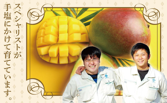 【訳あり マンゴー】プリンセス マンゴー 約1kg マンゴー 訳あり