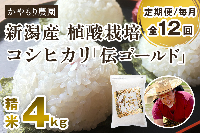 新潟産コシヒカリ「伝ゴールド」白米真空パック 精米 2kg×2袋