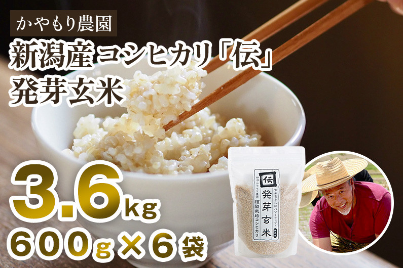 1パック 600g
